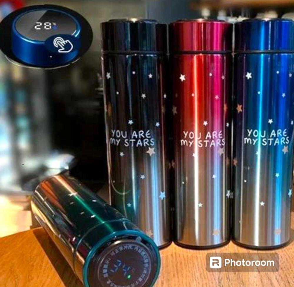 Temperature Display Vacuum Insulated Water Bottle