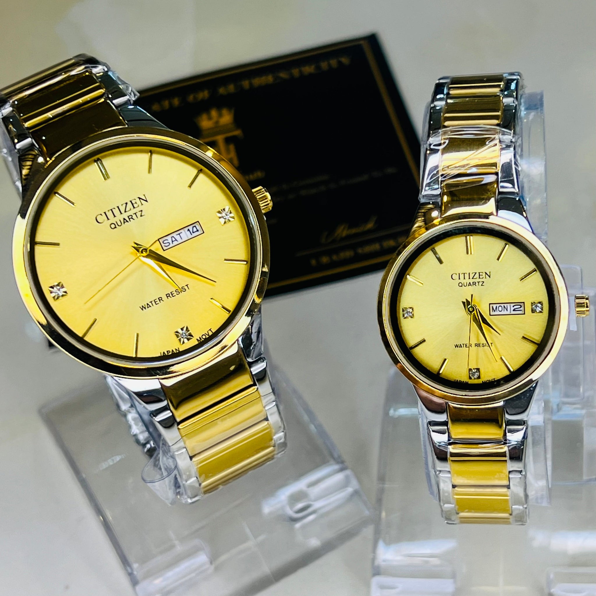 Two Tone Gold Axiom Couple Watch